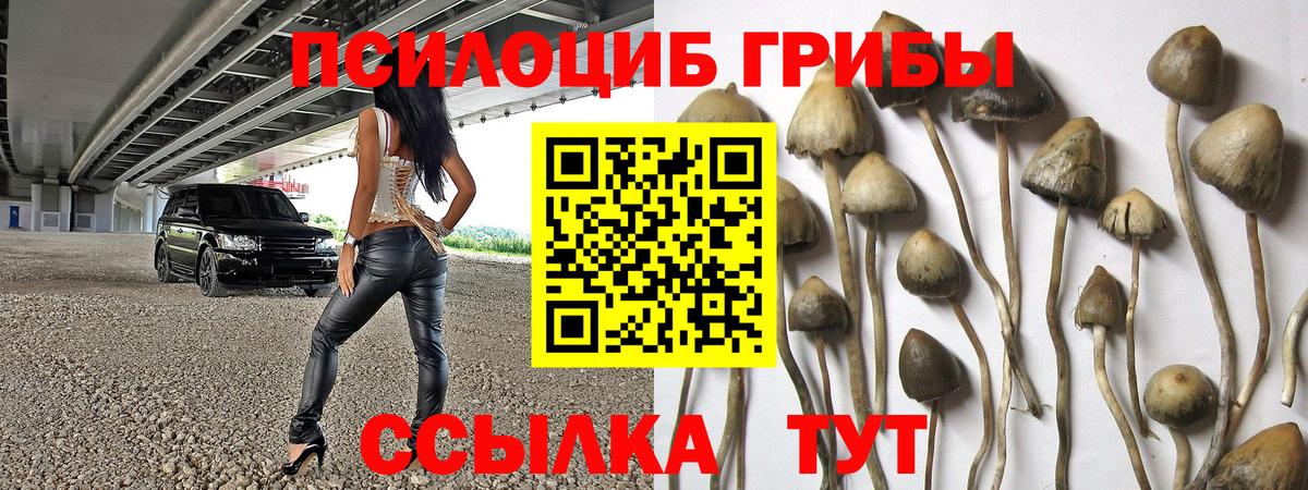 Галлюциногенные грибы прущие грибы  Вход с VPN  Галлюциногенные грибы ЛСД  Карпинск 
