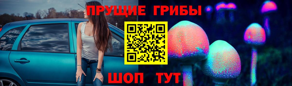 Галлюциногенные грибы Psilocybe Карпинск